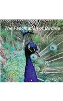The Fascination of Birdlife 2018: 'The Birdlife Includes Herons, Ducks, Storks, Ostrich, Herons and More.(Calvendo Nature)