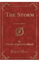 The Storm: Centre a Novel (Classic Reprint)