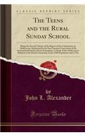 The Teens and the Rural Sunday School: Being the Second Volume of the Report of the Commission on Adolescence Authorized by the San Francisco Convention of the International Sunday School Association; A Study of the Adolescent in Relation to the Ru