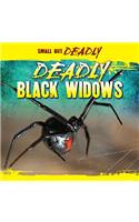 Deadly Black Widows