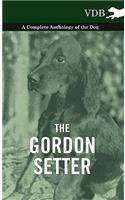The Gordon Setter - A Complete Anthology of the Dog: (English)