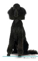Standard Poodle Affirmations Workbook Standard Poodle Presents