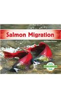 Salmon Migration: (Animal Migration)