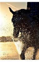 Horseback Riding Journal