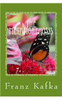 The Metamorphosis