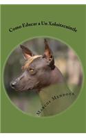 Como Educar a Un Xoloitzcuintle