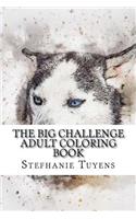 The BIG Challenge Adult Coloring Book