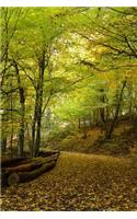 Trail into the Woods in Autumn Journal: Take Notes, Write Down Memories in this 150 Page Lined Journal