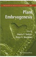 Plant Embryogenesis