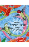 There's a Hummingbird in My Backyard