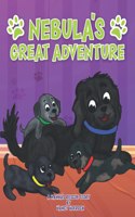Nebula's Great Adventure