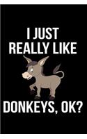 I Just Really Like Donkeys, Ok?