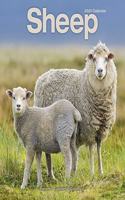 Sheep 2021 Wall Calendar