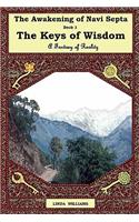 The Awakening of Navi Septa Book One: The Keys of Wisdom