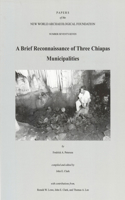 Brief Reconnaissance of Three Chiapas Municipalities
