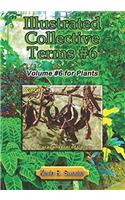 Illustrated Collective Terms #6: Volume #6 for Plants