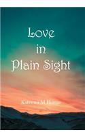 Love in Plain Sight