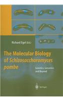 Molecular Biology of Schizosaccharomyces Pombe