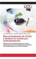 Biorremediación de Cr(VI) y lindano en suelos por actinobacterias