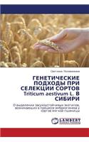 Geneticheskie Podkhody Pri Selektsii Sortov Triticum Aestivum L. V Sibiri