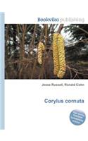 Corylus Cornuta