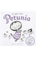 Pet for Petunia