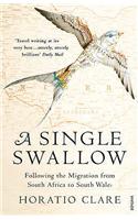 A Single Swallow: Following An Epic Journey From South Africa To South Wales
