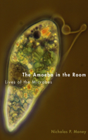 Amoeba in the Room