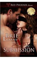 Brie Learns the Art of Submission: Submissive Training Center