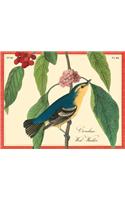 Audubon Warblers Keepsake Box