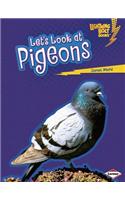 Let's Look at Pigeons