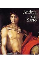 Andrea del Sarto