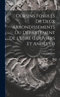 Oursins fossiles de deux arrondissements du département de l'Eure (Louviers et Andelys)