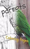 Parrot Coloring Pages: Beautiful Parrots Drawings for Kids and for Adults Relaxation