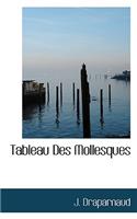Tableau Des Mollesques