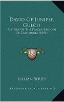 David Of Juniper Gulch: A Story Of The Placer Regions Of California (1894)