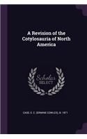 A Revision of the Cotylosauria of North America