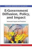 E-Government Diffusion, Policy, and Impact: Advanced Issues and Practices