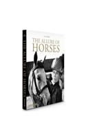 Allure of Horses