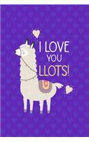 I Love You Llots!