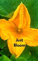 Just Bloom (A Joy Notes Notebook)