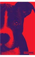 Notebook: American Staffordshire Bull Terrier Notepad (Red)