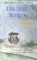 Dog Called Meatball