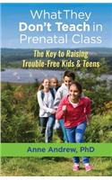 What They Don't Teach in Prenatal Class