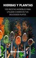 Hierbas Y Plantas