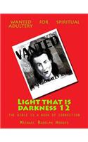 Light that is darkness 12