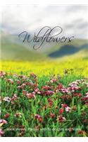 Wildflowers