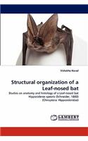 Structural Organization of a Leaf-Nosed Bat