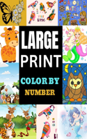 Large Print Color by Number