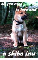 all you need is love and a shiba inu